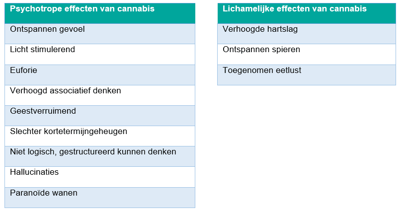 1 tekstvakken met opsomming van de psychotrope en lichamelijke effecten van cannabis