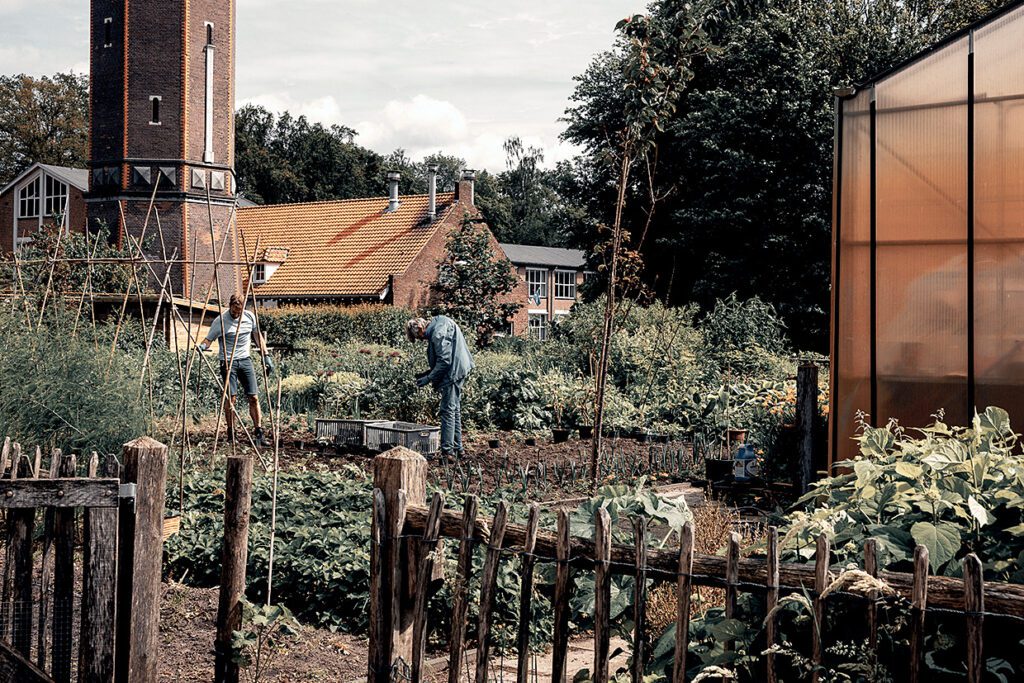 Twee mensen aan het werk tijdens dagbesteding in een moestuin