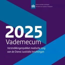 Afbeelding van het Vademecum 2025