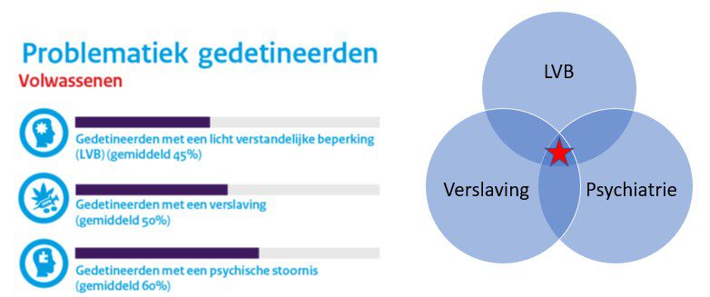 Afbeelding van drie cirkels die het snijvlak van LVB, psychiatrie en het gebruik van middelen uitbeeldt